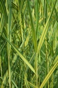 Galeriebild 1