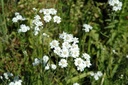 Galeriebild 1
