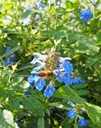 Galeriebild 1