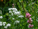 Galeriebild 2
