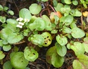 Galeriebild 6