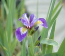 Galeriebild 11