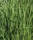 Galeriebild 6