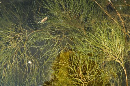 Galeriebild 1