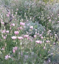 Galeriebild 1