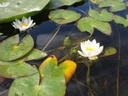 Galeriebild 1