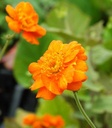 Galeriebild 11