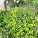 Galeriebild 1