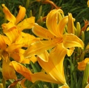 Galeriebild 1
