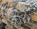 Galeriebild 1