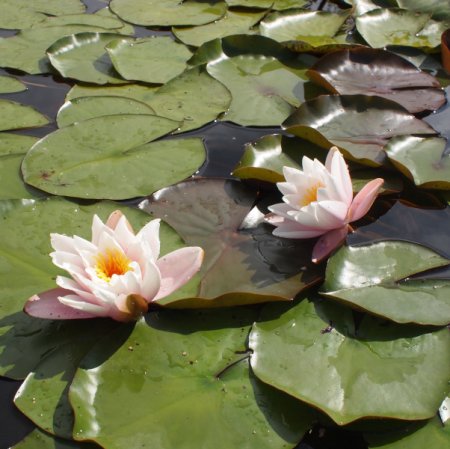 Galeriebild 1