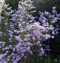Galeriebild 1