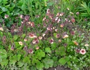 Galeriebild 2