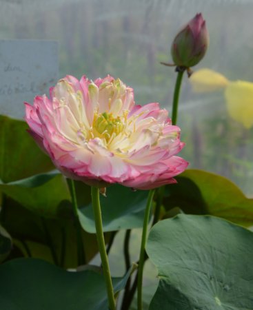 Galeriebild 1