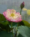 Galeriebild 1