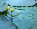 Galeriebild 1