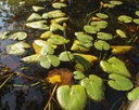 Galeriebild 2