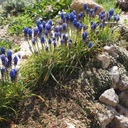Galeriebild 1