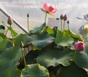 Galeriebild 2