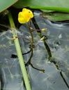 Galeriebild 2