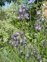 Galeriebild 1