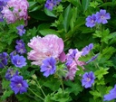 Galeriebild 1