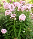 Galeriebild 1