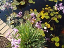 Galeriebild 1