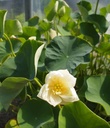 Galeriebild 1
