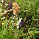 Galeriebild 1