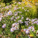 Galeriebild 1