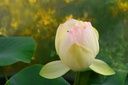 Galeriebild 1