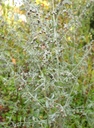 Galeriebild 1