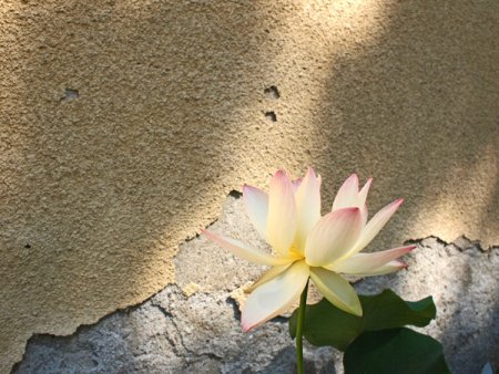 Galeriebild 3