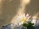 Galeriebild 3