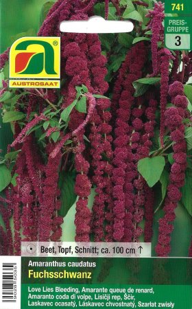 [0] Fuchsschwanz - Amaranthus caudatus