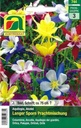 Akelei Langer Sporn Prachtmischung (Aquilegia)