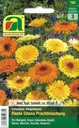 Ringelblume Fiesta Gitana Prachtmischung (Calendula officinalis)