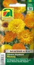 Ringelblume Mischung (Calendula officinalis)