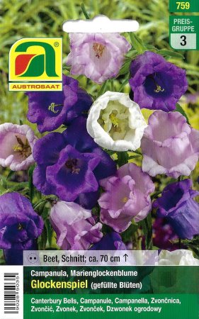 [0] Marienglockenblume Glockenspiel (Campanula medium)