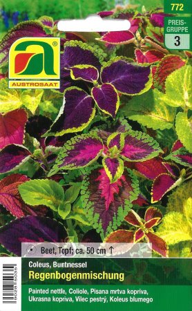 [0] Buntnessel Regenbogenmischung (Coleus blumei)
