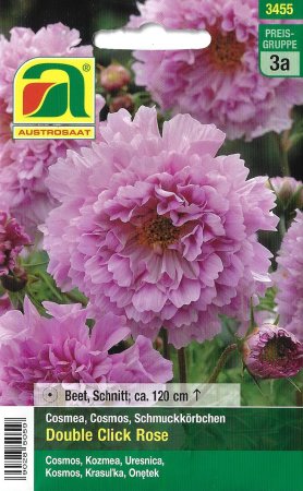 [0] Cosmea Double Click Rose (Cosmos bipinnatus)