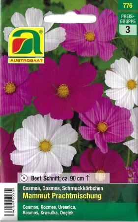 [0] Cosmea Mammut Prachtmischung (Cosmos bipinnatus)