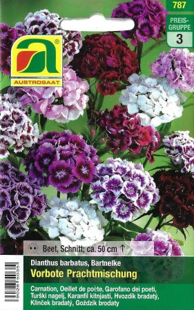 [0] Bartnelke Vorbote Prachtmischung (Dianthus barbatus)