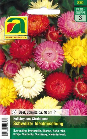 [0] Strohblume Schweizer Idealmischung (Helichrysum bracteatum)