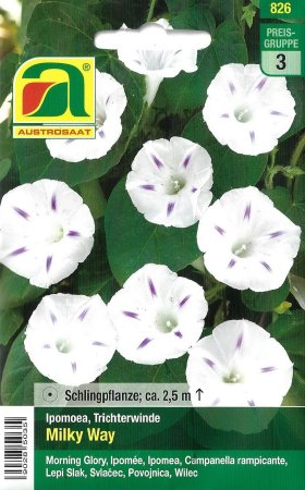 [0] Trichterwinde Milky Way (Ipomoea purpurea)