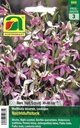Levkoje, Nachtduftstock (Matthiola bicornis)