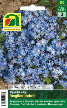 [0] Vergißmeinnicht (Myosotis indigo)