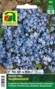 Vergißmeinnicht (Myosotis indigo)