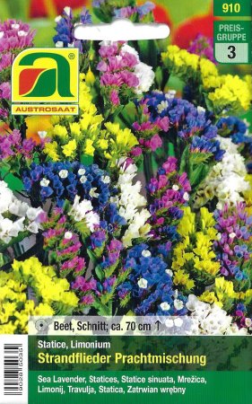 [0] Strandflieder, Statice Prachtmischung (Limonium)